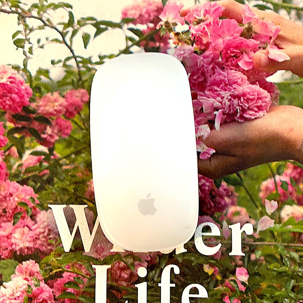 Apple Magic Mouse